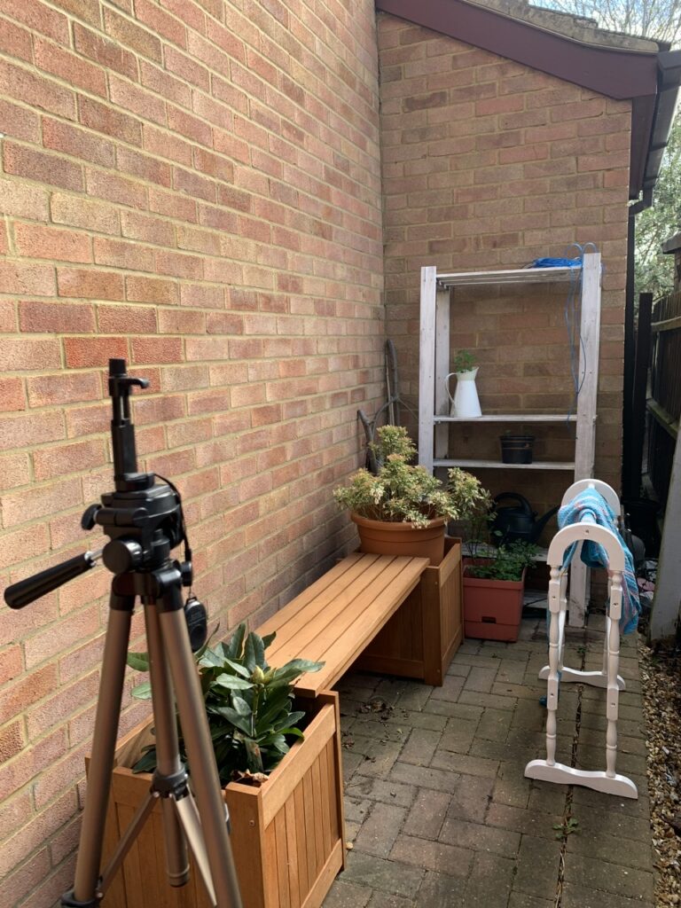 Set up for a photo shoot in a small bricked alley.